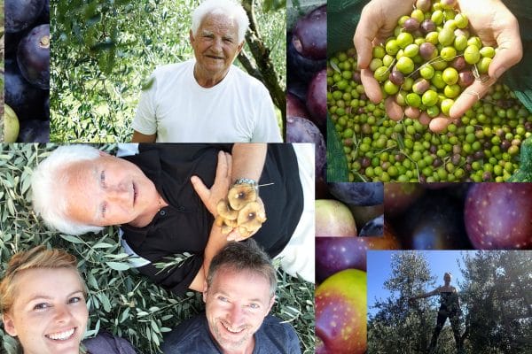 Attilio's Olive Oil
