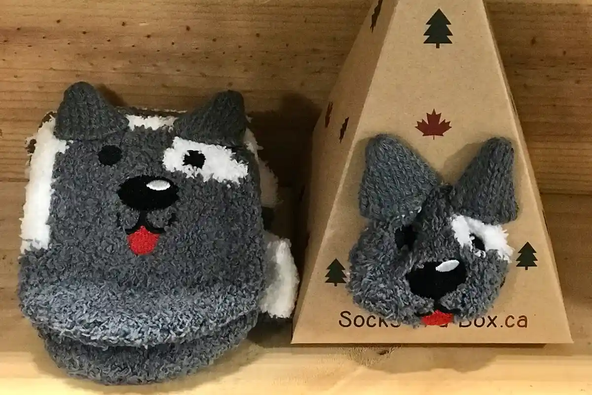 Little Charberry & Sox in a Box