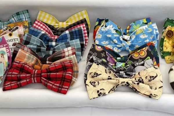 Pawda Collars